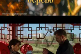 Денежное дерево